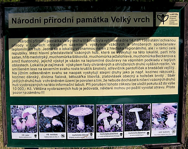 Velký vrch - informační panel Škola začínajícího houbaře