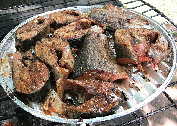 Grilovaný losos Škola vaření - grilování ryb